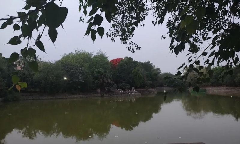 Prasad Nagar Lake